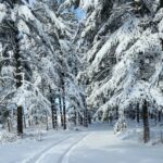 snowy path symbolizes the journey of prayer jouranling