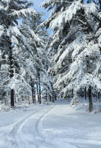 snowy path symbolizes the journey of prayer jouranling