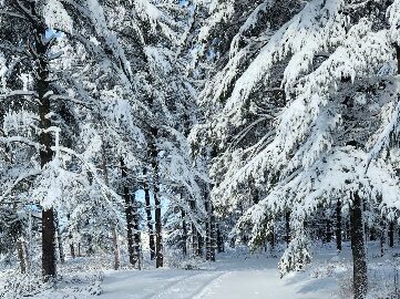 snowy path symbolizes the journey of prayer jouranling