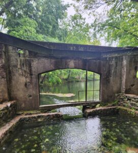 What to do when life