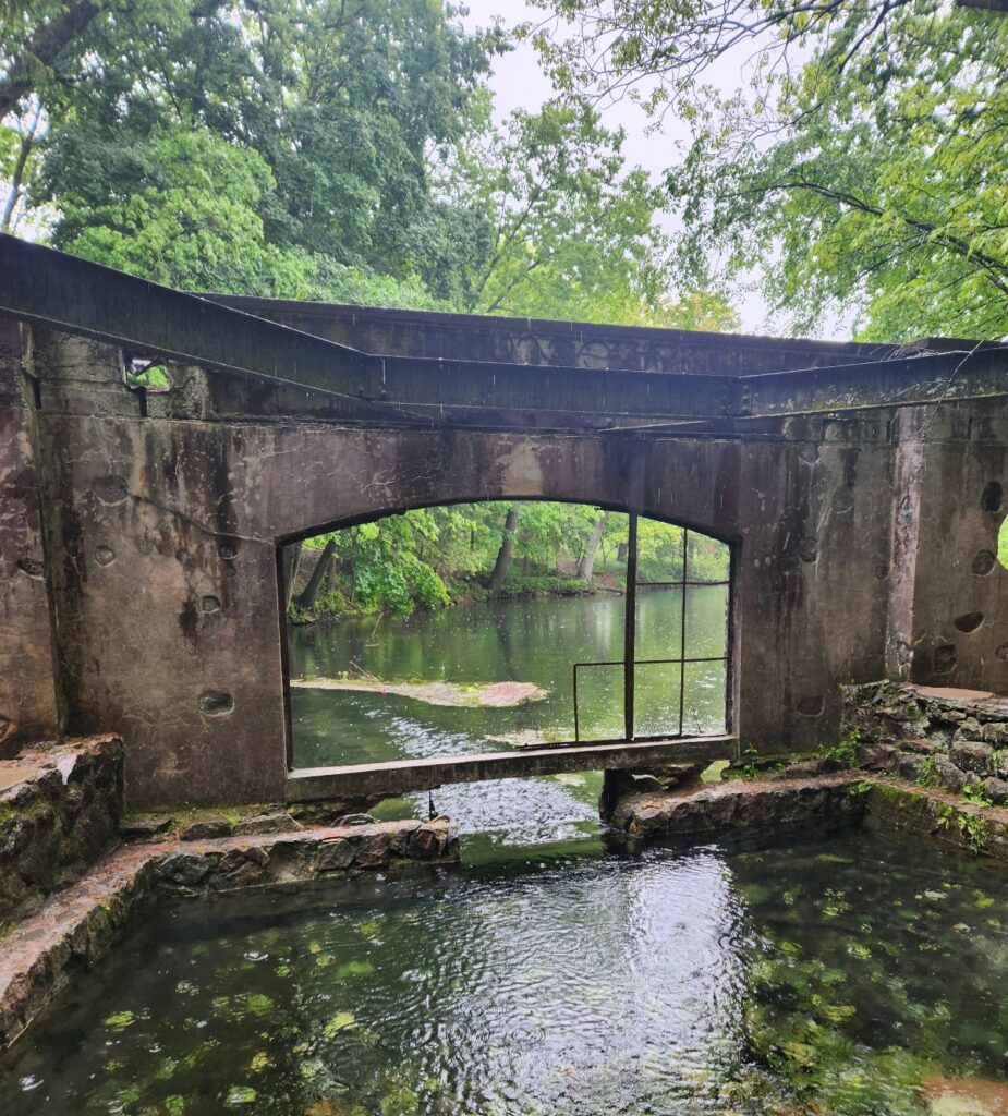 What to do when life