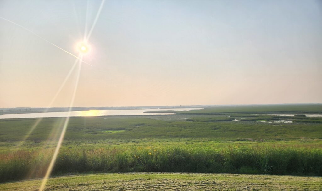 picture of the sun shining over Horican Marsh