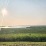 picture of the sun shining over Horican Marsh