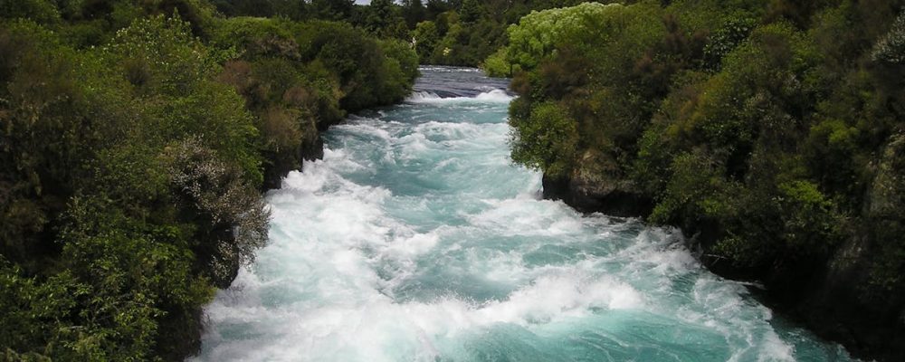 Vibrant and powerful river rapids flowing through lush green forest in a natural landscape.